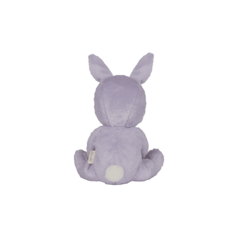 PREORDER | Dinky Dinkum Fluffle Bunnies by Olliella