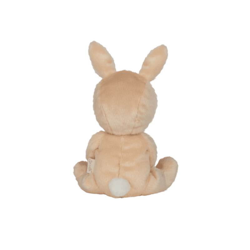 PREORDER | Dinky Dinkum Fluffle Bunnies by Olliella