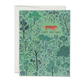 Greeting Card | Orange Tiger Birthday by Red Cap Cards