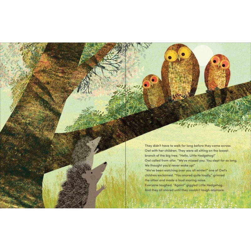 Again!: A Big Hedgehog and Little Hedgehog Adventure by Britta Teckentrup - Maude Kids Decor