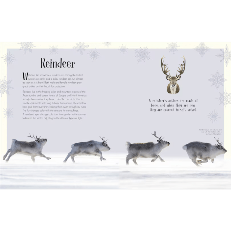 An Anthology of Christmas by Auriol Bishop - Maude Kids Decor