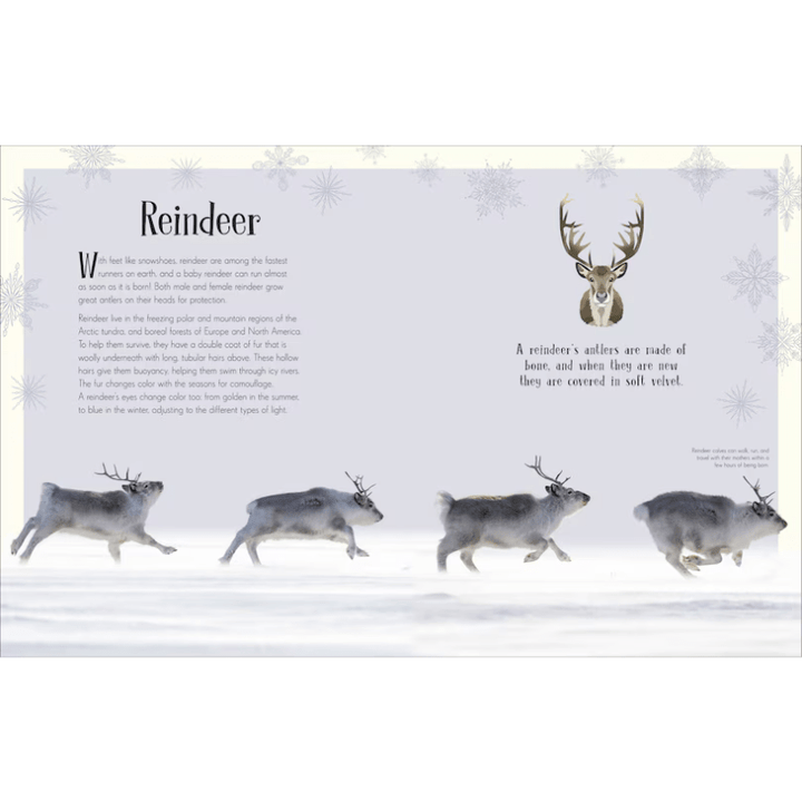An Anthology of Christmas by Auriol Bishop - Maude Kids Decor
