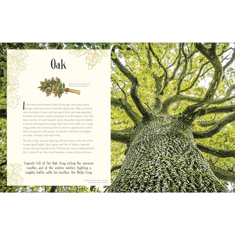 An Anthology of Christmas by Auriol Bishop - Maude Kids Decor