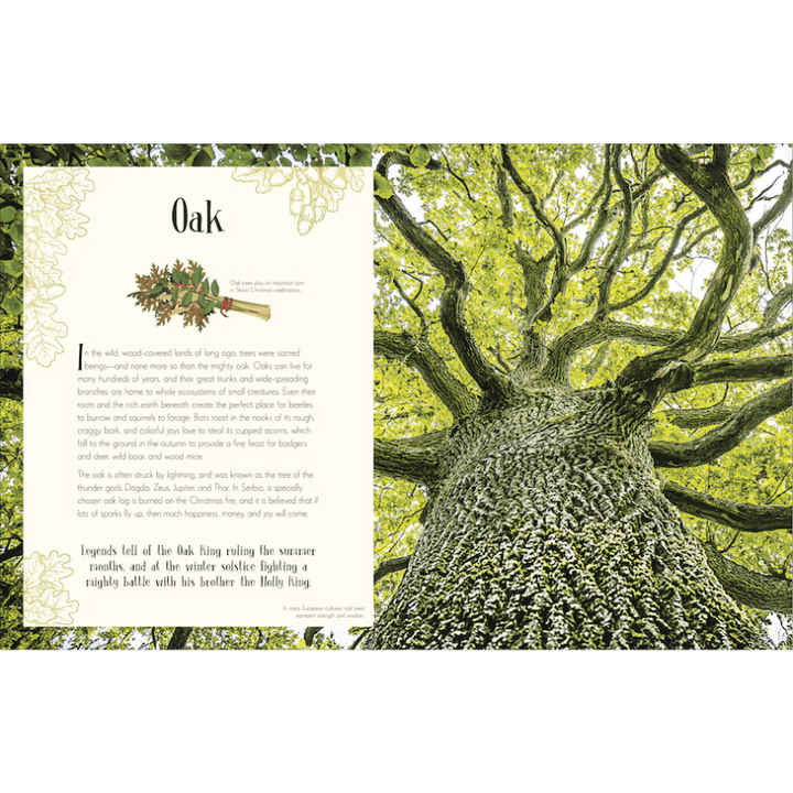 An Anthology of Christmas by Auriol Bishop - Maude Kids Decor