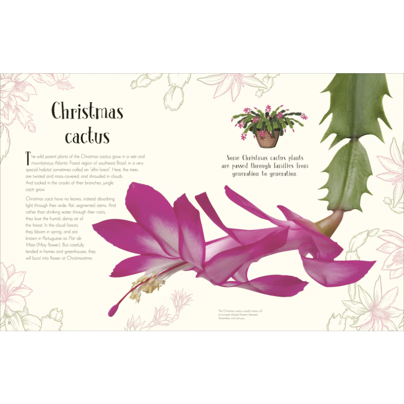 An Anthology of Christmas by Auriol Bishop - Maude Kids Decor
