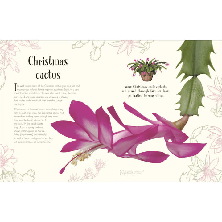 An Anthology of Christmas by Auriol Bishop - Maude Kids Decor