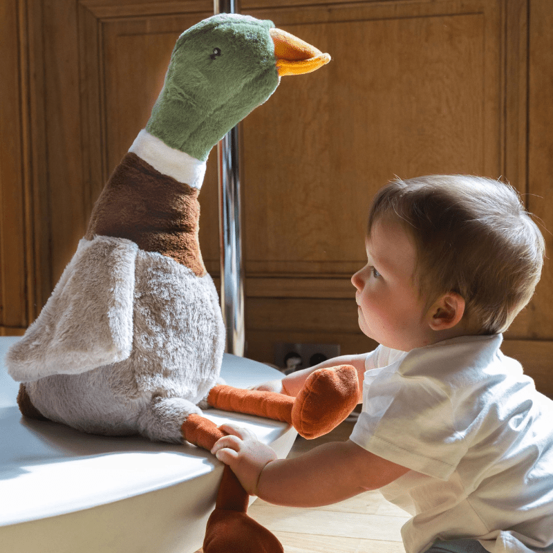 Big Hugo the Mallard Duck by Nana Huchy - Maude Kids Decor