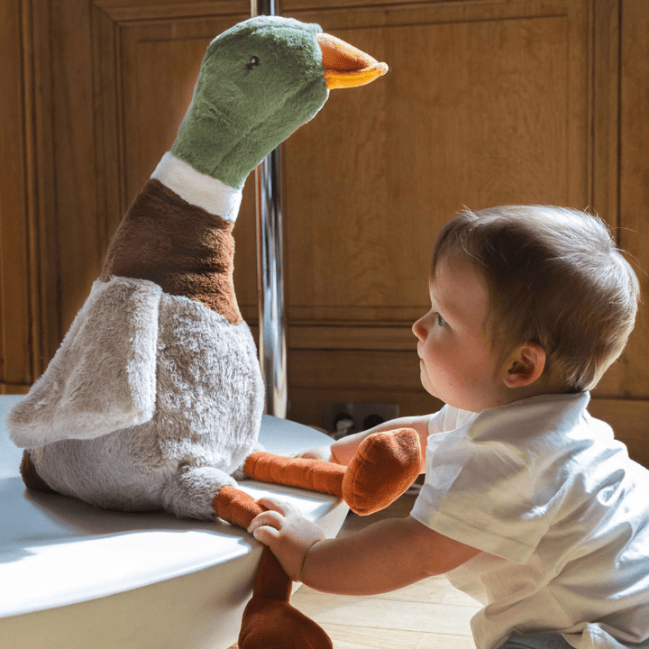 Big Hugo the Mallard Duck by Nana Huchy - Maude Kids Decor