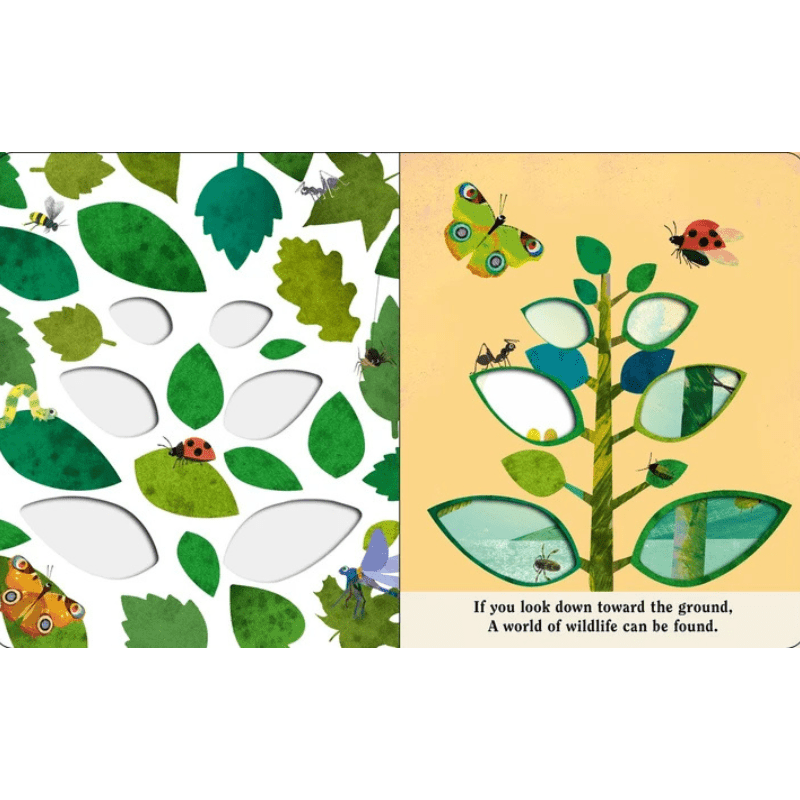 Bugs: A Peek-Through Board Book by Britta Teckentrup - Maude Kids Decor