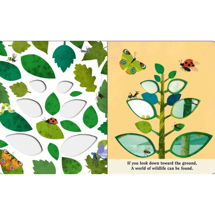 Bugs: A Peek-Through Board Book by Britta Teckentrup - Maude Kids Decor