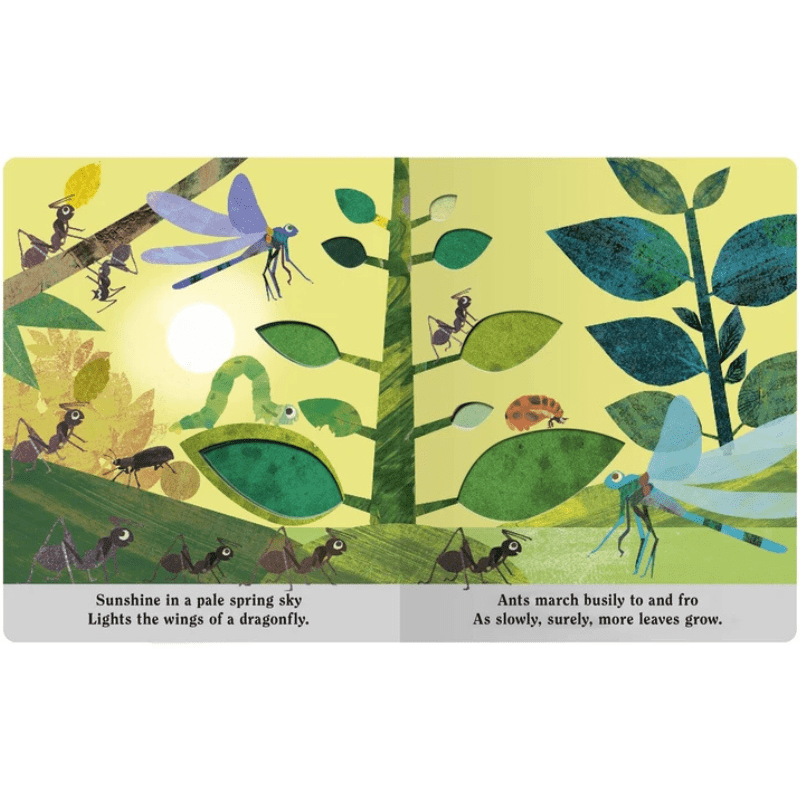 Bugs: A Peek-Through Board Book by Britta Teckentrup - Maude Kids Decor