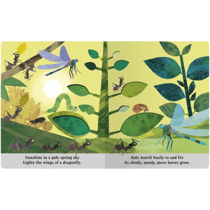 Bugs: A Peek-Through Board Book by Britta Teckentrup - Maude Kids Decor