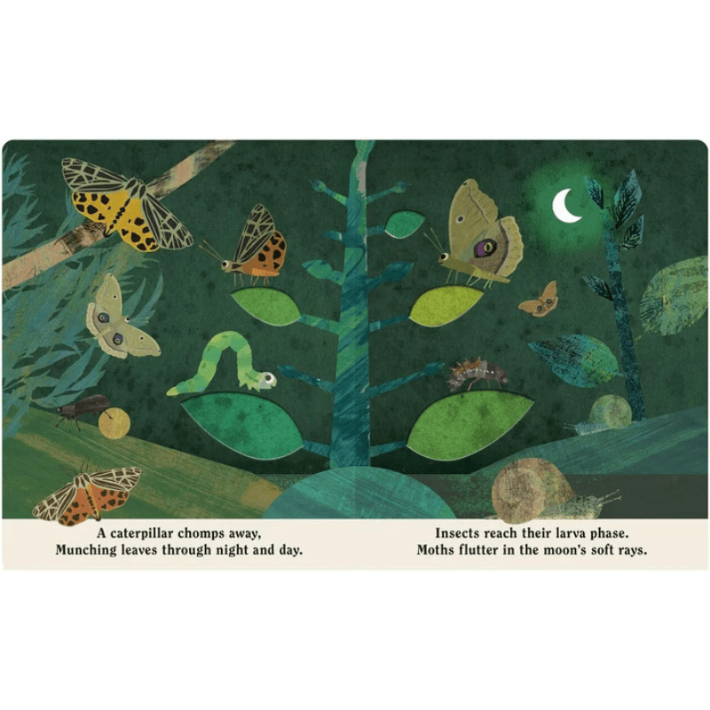 Bugs: A Peek-Through Board Book by Britta Teckentrup - Maude Kids Decor