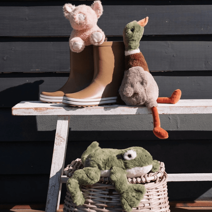 Finley the Frog by Nana Huchy - Maude Kids Decor