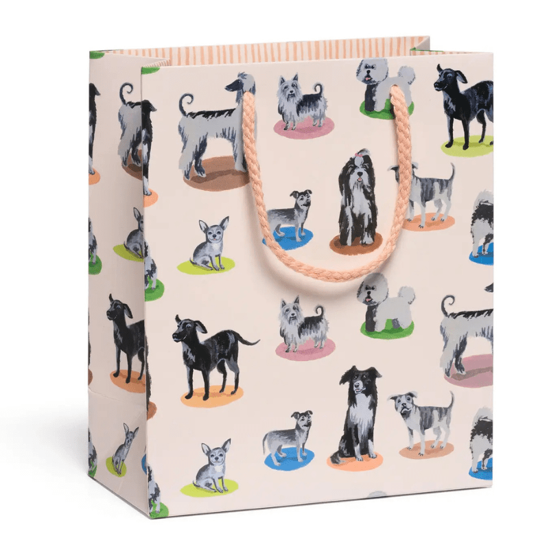 Gift Bag by Red Cap Cards - Maude Kids Decor