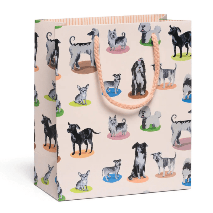 Gift Bag by Red Cap Cards - Maude Kids Decor