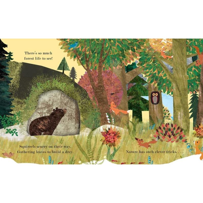 Home: A Peek-Through Board Book by Britta Teckentrup - Maude Kids Decor