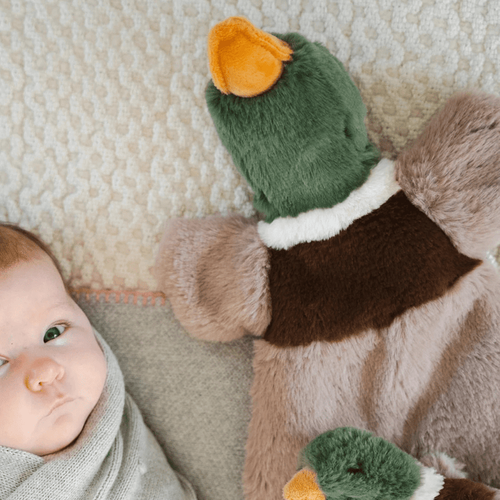 Hugo the Mallard Duck Hoochy Coochie by Nana Huchy - Maude Kids Decor