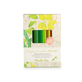 Le Botaniste 12 Nature Colouring Pencils and Cards by Moulin Roty - Maude Kids Decor