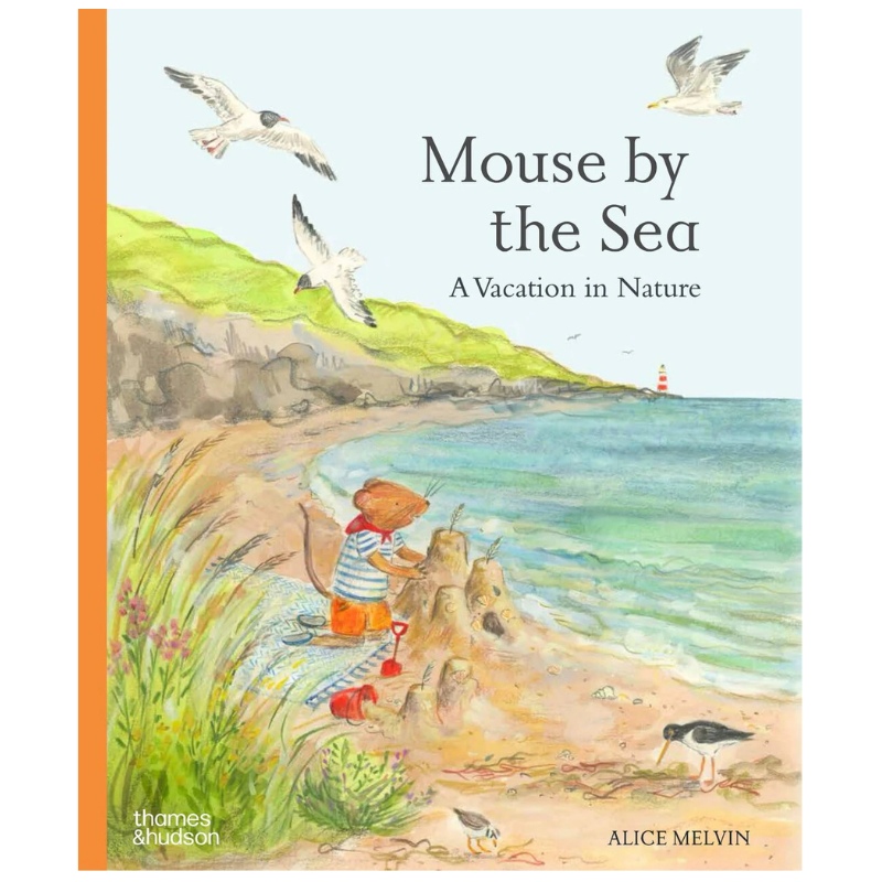 Mouse by the Sea: A Vacation in Nature by Alice Melvin - Maude Kids Decor