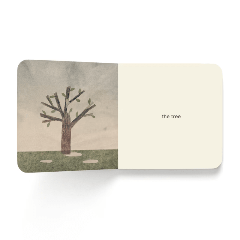 Now I See Spring Board Book by Mac Barnett and Jon Klassen - Maude Kids Decor