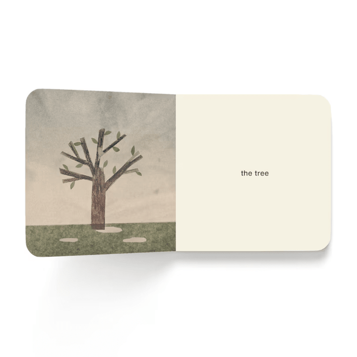 Now I See Spring Board Book by Mac Barnett and Jon Klassen - Maude Kids Decor