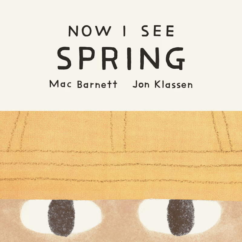 Now I See Spring Board Book by Mac Barnett and Jon Klassen - Maude Kids Decor