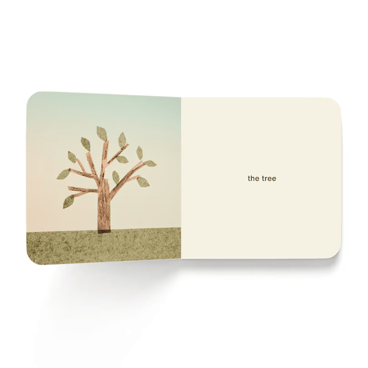 Now I See Summer Board Book by Mac Barnett and Jon Klassen - Maude Kids Decor