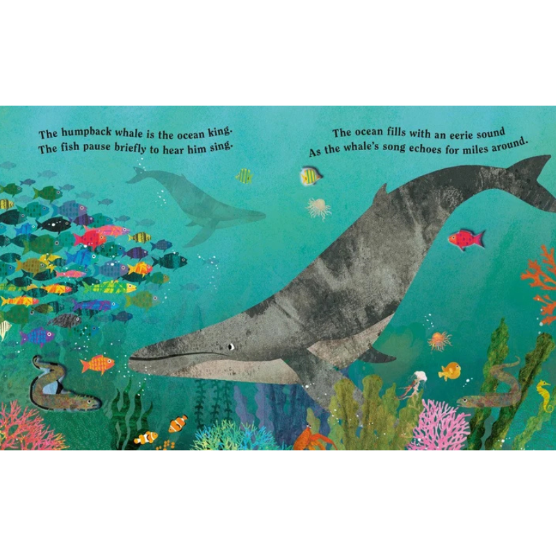 Ocean: A Peek-Through Board Book by Britta Teckentrup - Maude Kids Decor