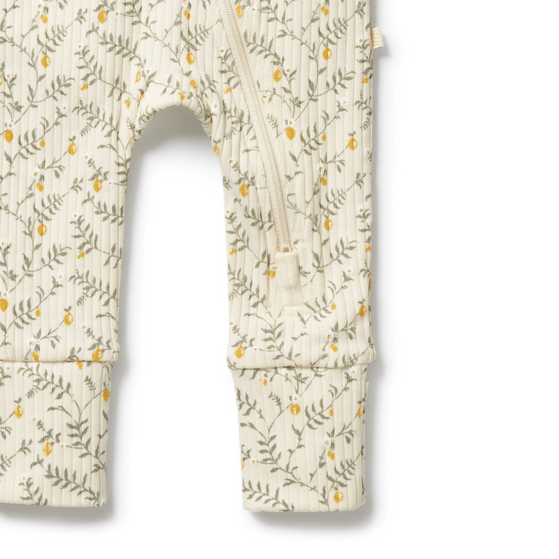 Organic Drop Needle Cotton Zipsuit with Feet by Wilson + Frenchy - Maude Kids Decor