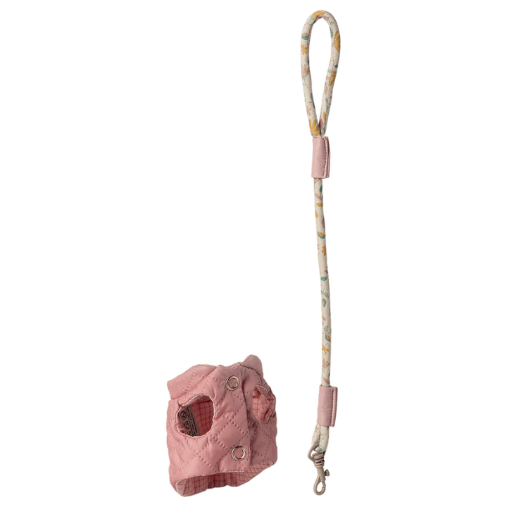 Pet Supply | Harness and Leash by Maileg - Maude Kids Decor