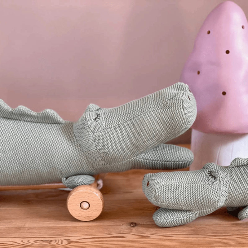 Pull Along Croc by Egmont - Maude Kids Decor
