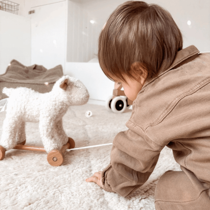 Pull Along Mary by Egmont - Maude Kids Decor