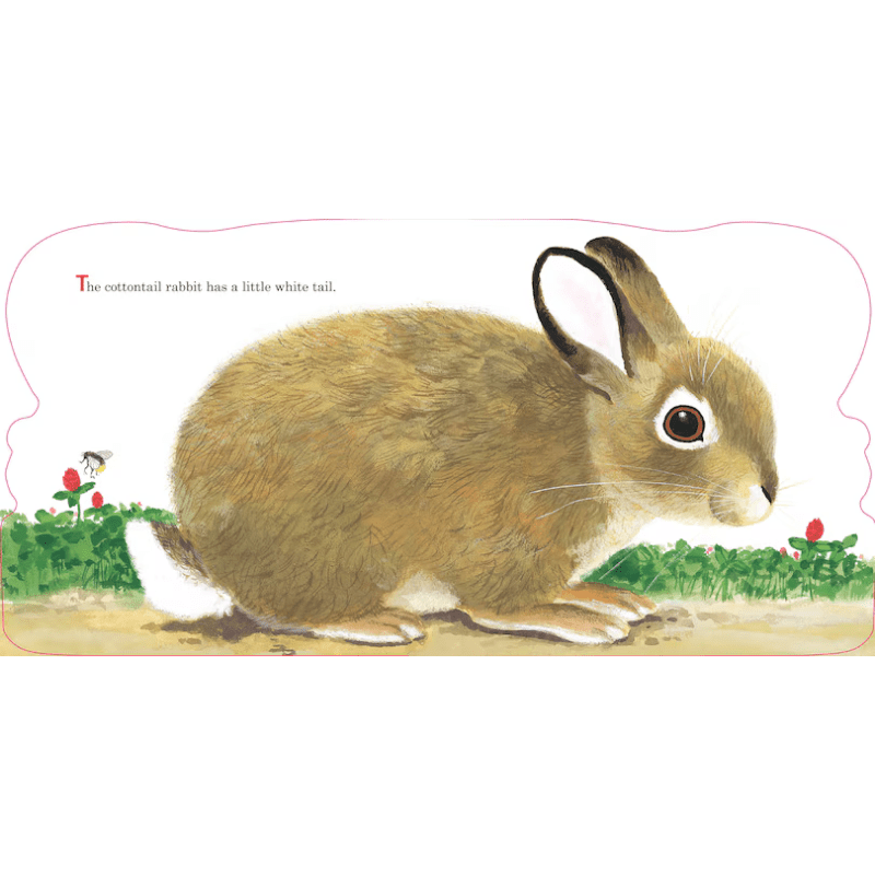 Richard Scarry's Bunnies: A Classic Board Book for Babies and Toddlers by Richard Scarry - Maude Kids Decor