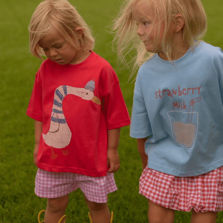 Silly Goose Tee by Pigeon Said Please - Maude Kids Decor