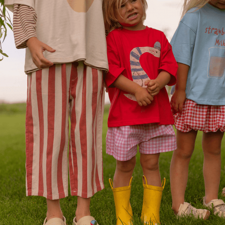 Silly Goose Tee by Pigeon Said Please - Maude Kids Decor