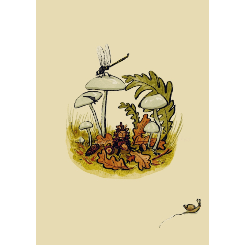 The Hidden World of Gnomes by Lauren Soloy - Maude Kids Decor