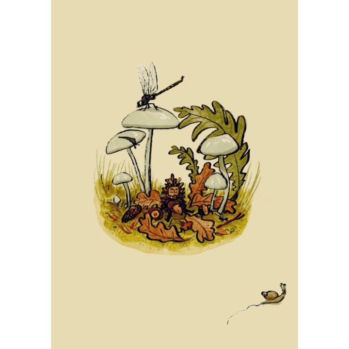 The Hidden World of Gnomes by Lauren Soloy - Maude Kids Decor