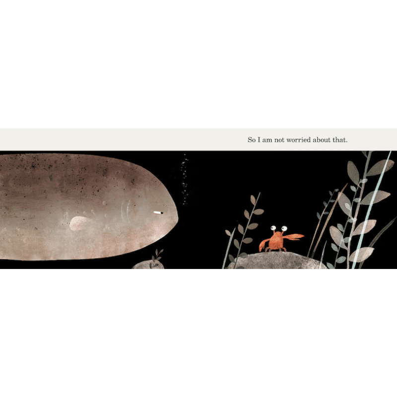 This Is Not My Hat by Jon Klassen – Maude Kids Decor