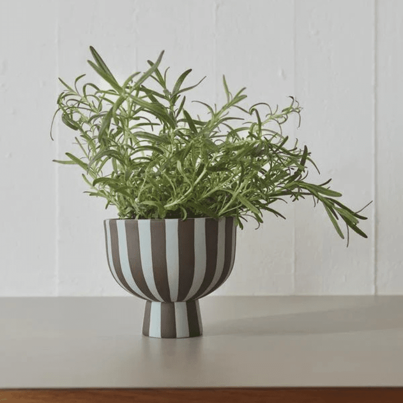 Toppu Bowl | Dusty Blue/Choko by OYOY - Maude Kids Decor