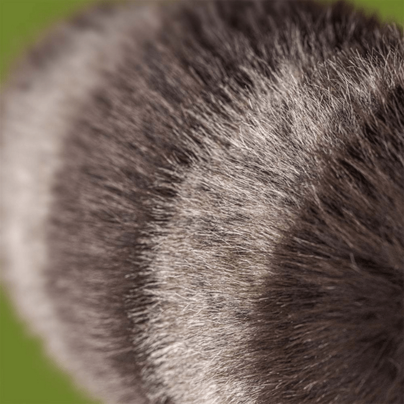 Trixiwoo Raccoon by Jellycat - Maude Kids Decor