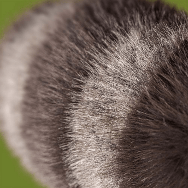 Trixiwoo Raccoon by Jellycat - Maude Kids Decor