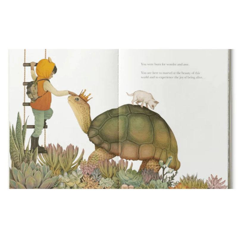 Why Not? by Kobi Yamada - Maude Kids Decor