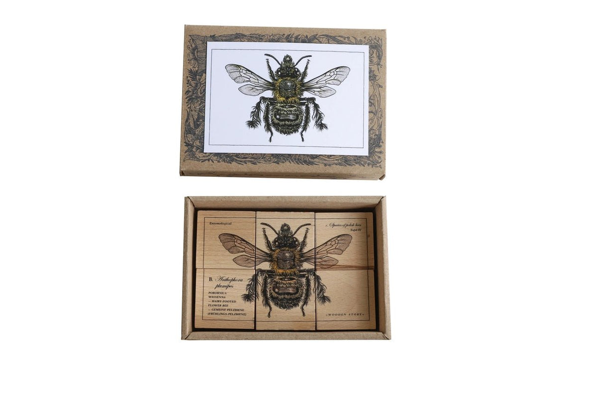 Wooden Blocks | Species of Bees by Wooden Story - Maude Kids Decor