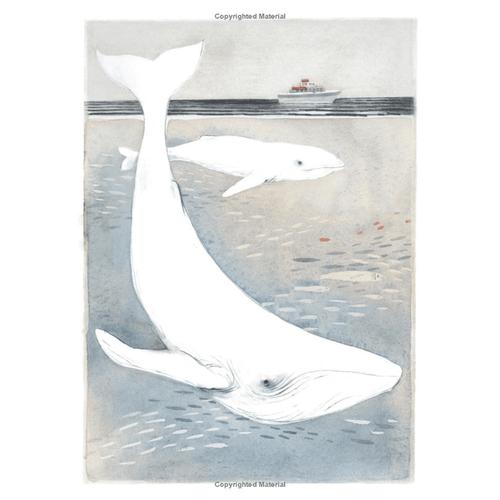 You Belong Here by M.H. Clark - Maude Kids Decor