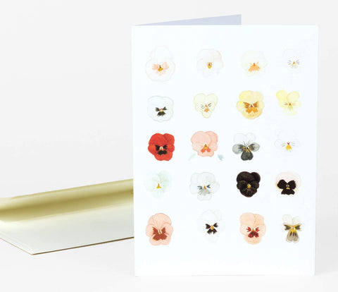 Greeting Card | A Taxonomy of Pansies by Emily Winfield Martin - Maude Kids Decor