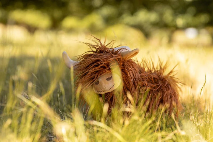 Heidi the Highland Cow by Nana Huchy - Maude Kids Decor