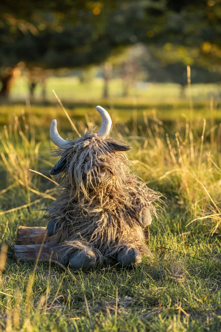 Henry the Highland Cow by Nana Huchy - Maude Kids Decor