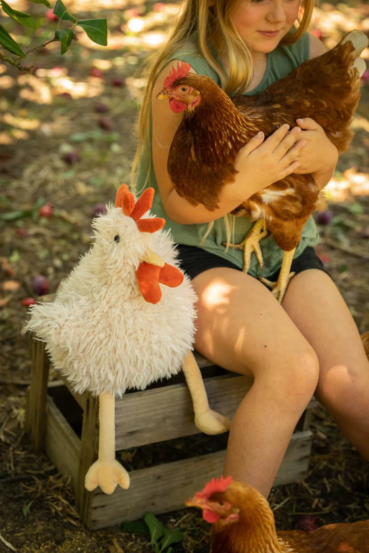 Roy the Rooster by Nana Huchy - Maude Kids Decor
