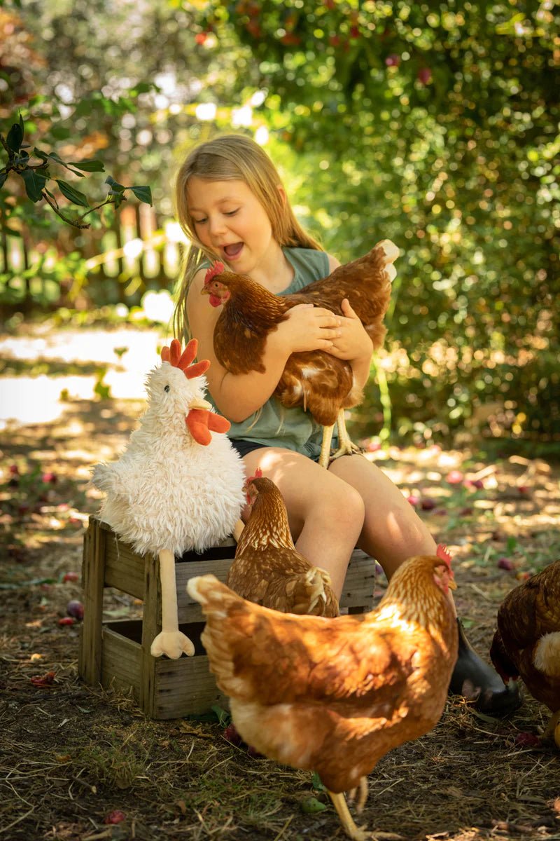 Roy the Rooster by Nana Huchy - Maude Kids Decor